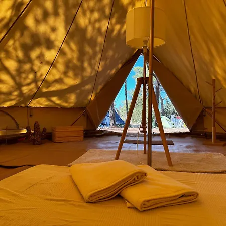 Secret View Glamp